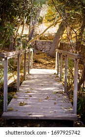 Wood Bridge On The Forest Vanishing Point Perspective