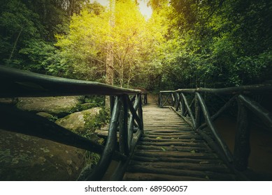 Wood Bridge On The Forest Vanishing Point Perspective