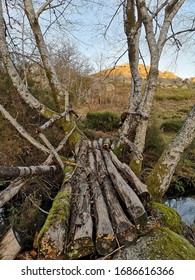 Wood Bridge At Peneda Gerês National Park