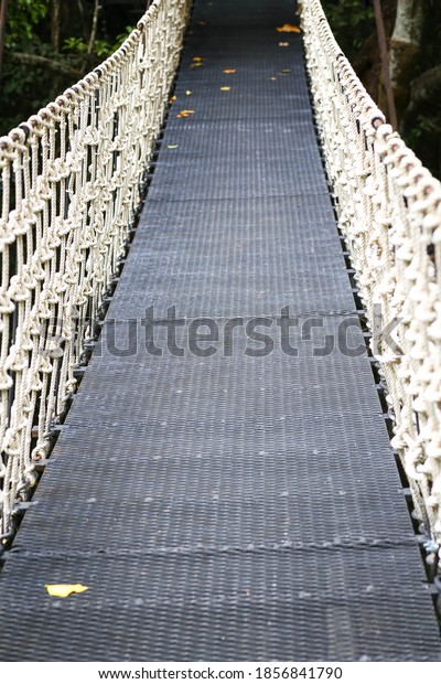 Wood\
bridge with white rope for walking in the\
forest.