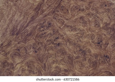 Wood Burl 