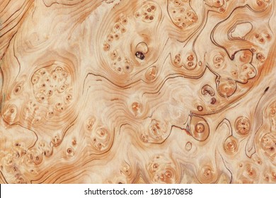 Wood burl texture background. High resolution image of exotic hardwood veneer grain burr. - Shutterstock ID 1891870858