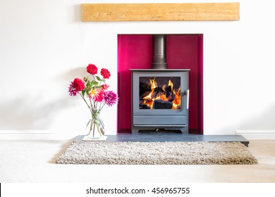 Wood burning stove, with blazing log fire, in a magenta colored recess in a white room with a vase of dahlia flowers. High key