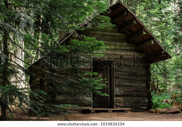 Wood Cabin Forest Mount Rainier National Stock Photo Edit Now