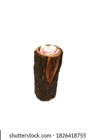 Wood Candle Holder . White Background. 