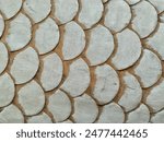 wood carving texture in the shape of fish scales