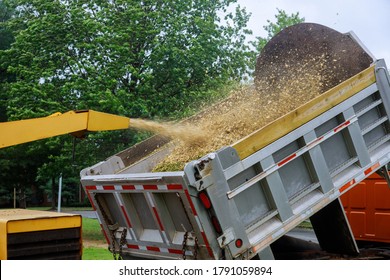 A wood chipper at work machinery, wood shredder placed in the intake chute for chipping after an unexpected hurricane storm - Shutterstock ID 1791059894