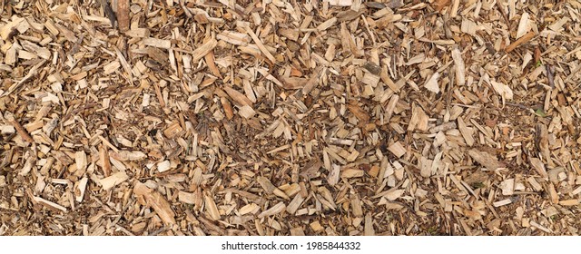 Wood chips as a background - Powered by Shutterstock