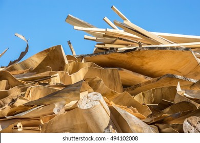 Wood Chips For A Biomass Combustion
