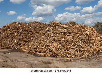 Wood Chips For Biomass Combustion. Green Renewable Energy