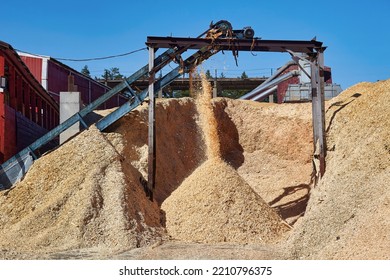 Wood Chips Flying Off The Conveyor At The Sawmill.