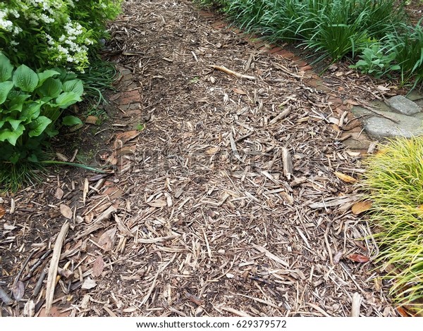 Wood Chips Garden Path Green Plants Stock Photo Edit Now 629379572