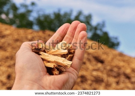 Wood chips in hand and woodpile with tree branches, environmental friendly natural source of energy for industry