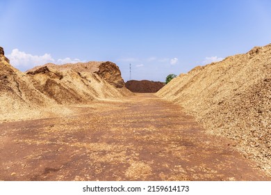 Wood Chips Pile In A Storage Place