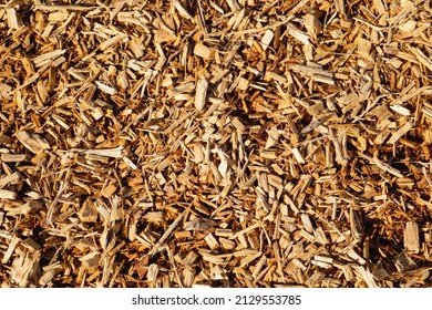 Wood Chips At A Playground. Background, Copy Space.