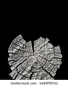 Wood circle texture slice background.