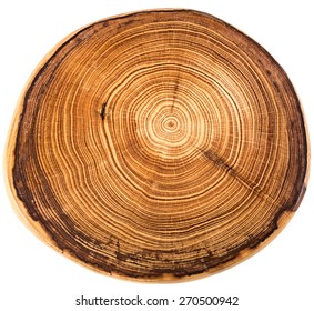 Wood circle texture slice background
