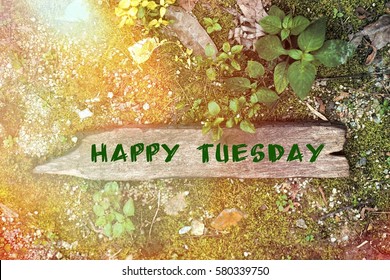 Wood Concept With The Word Happy Tuesday