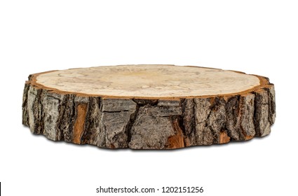 Wood cross section isolated on white background