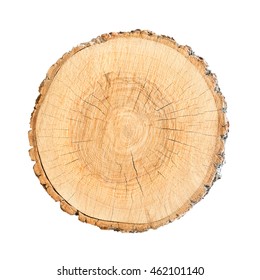 Wood Cross Section Tree Rings Cut Slice Brown Stump Isolated On White Showing Age And Years