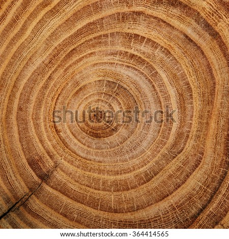 Wood cut background