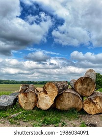 The Wood Cut Down On The Ground And With Blue And White Sky In The Back 