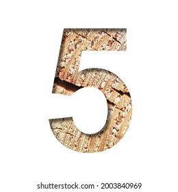 Wood Cut Font. Digit Five, 5 Cut Out Of Paper On The Background Of A Cut Of A Tree With Cracks And Shavings. Set Of Decorative Natural Fonts.