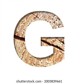 Wood Cut Font. The Letter G Cut Out Of Paper On The Background Of A Cut Of A Tree With Cracks And Shavings. Set Of Decorative Natural Alphabet Fonts.