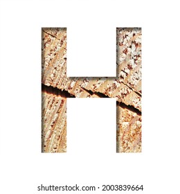 Wood Cut Font. The Letter H Cut Out Of Paper On The Background Of A Cut Of A Tree With Cracks And Shavings. Set Of Decorative Natural Alphabet Fonts.