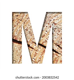 Wood Cut Font. The Letter M Cut Out Of Paper On The Background Of A Cut Of A Tree With Cracks And Shavings. Set Of Decorative Natural Alphabet Fonts.