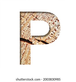 Wood Cut Font. The Letter P Cut Out Of Paper On The Background Of A Cut Of A Tree With Cracks And Shavings. Set Of Decorative Natural Alphabet Fonts.