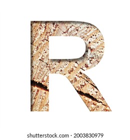 Wood Cut Font. The Letter R Cut Out Of Paper On The Background Of A Cut Of A Tree With Cracks And Shavings. Set Of Decorative Natural Alphabet Fonts.