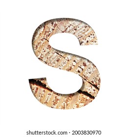 Wood Cut Font. The Letter S Cut Out Of Paper On The Background Of A Cut Of A Tree With Cracks And Shavings. Set Of Decorative Natural Alphabet Fonts.