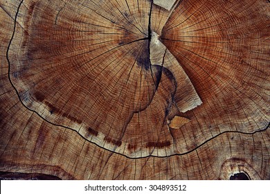 Wood Cut Texture Ring Background