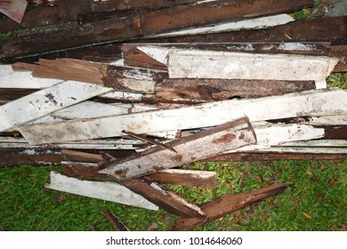 4 Damage white wooden window caused by termite Images, Stock Photos ...