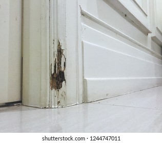The wood door with Termites nest, termite damage.