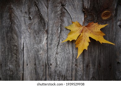 Wood Door Texture Fall Autumn