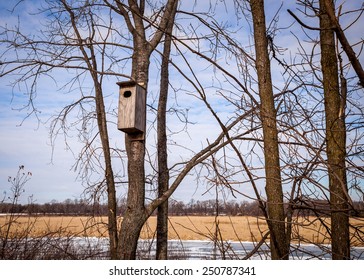 Wood Duck Box Hung In A Tree.