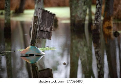 Wood Duck Box On A Pond