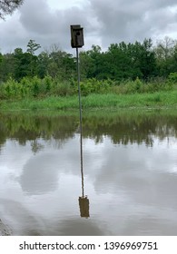 Wood Duck Box And Reflection