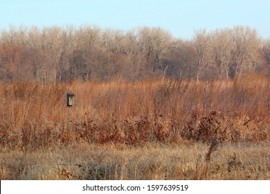 Wood Duck Boxes Provide A Man-made Alternative, Where Hens Can Nest In ...