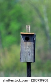 Wood Duck Nest Box Marion County, Illinois