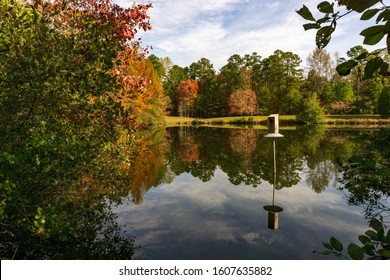 A Wood Duck Nest In A Pond Habitat. Autumn Scene Reflected In Pond.