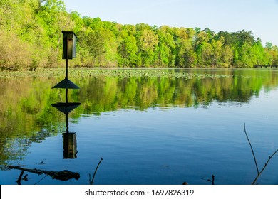 A Wood Duck Nest And Trees Reflected In A Placid Lake.