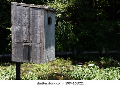 Wood Duck Nesting Box On The River