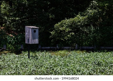 Wood Duck Nesting Box On The River