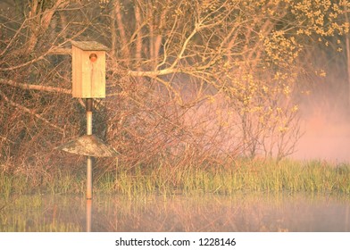 Wood Duck Nesting Box In A Swamp.