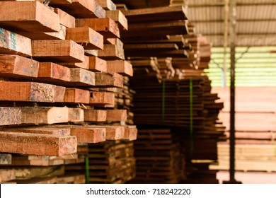 Wood Factory Stock And Lumber Board With Nature Business Export