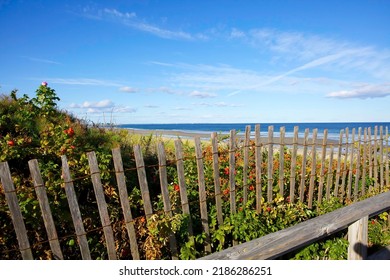 Wood Fence On A Maine Coastline Beach.