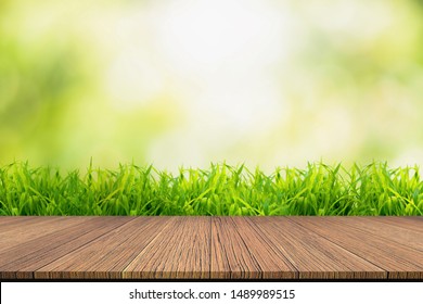 Fresh Spring Green Grass Green Bokeh Stock Photo 114851914 | Shutterstock